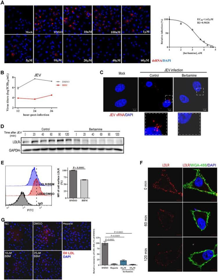 https://cdn.ncbi.nlm.nih.gov/pmc/blobs/daff/8238074/90f20939b4e4/TEMI_A_1941276_F0002_OC.jpg