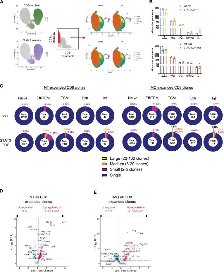 https://cdn.ncbi.nlm.nih.gov/pmc/blobs/db06/11167377/37aee80f5166/JEM_20232091_FigS5.jpg