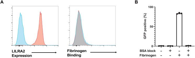 https://cdn.ncbi.nlm.nih.gov/pmc/blobs/db07/11456740/44b0d5618aa6/fimmu-15-1435236-g003.jpg