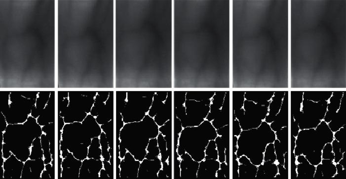 https://cdn.ncbi.nlm.nih.gov/pmc/blobs/db07/9170421/e395eb049497/JHE2022-9231637.006.jpg