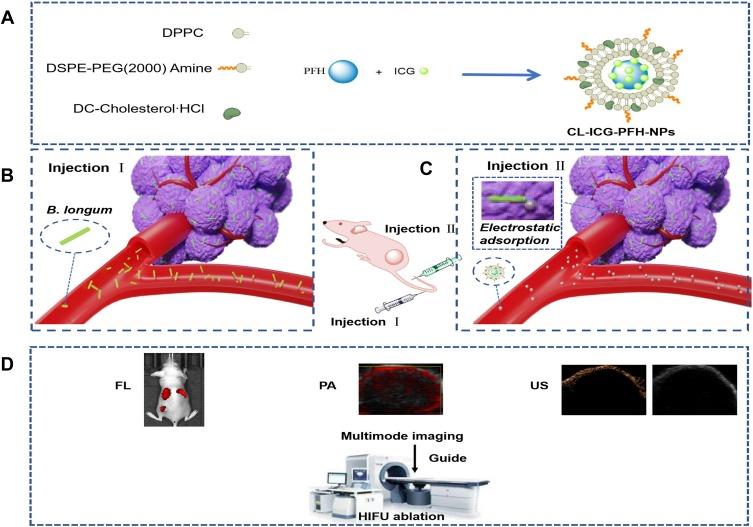 https://cdn.ncbi.nlm.nih.gov/pmc/blobs/db0b/7085950/642b367466e0/IJN-15-1871-g0001.jpg