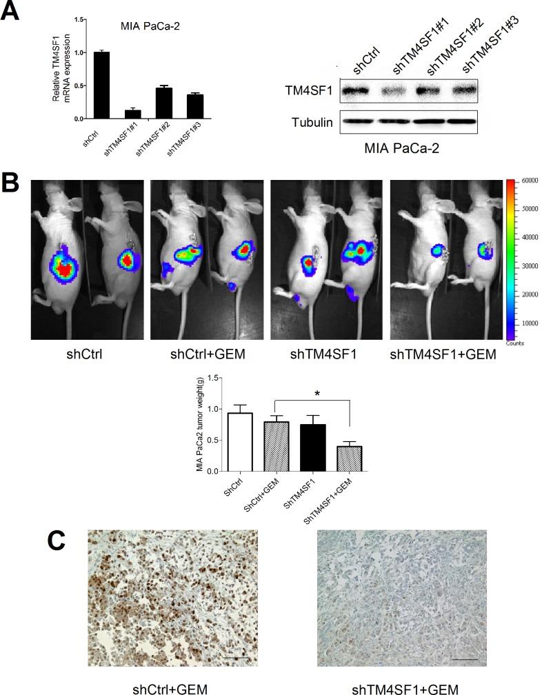 https://cdn.ncbi.nlm.nih.gov/pmc/blobs/db0f/4692438/cba8a5eb670e/pone.0144969.g004.jpg