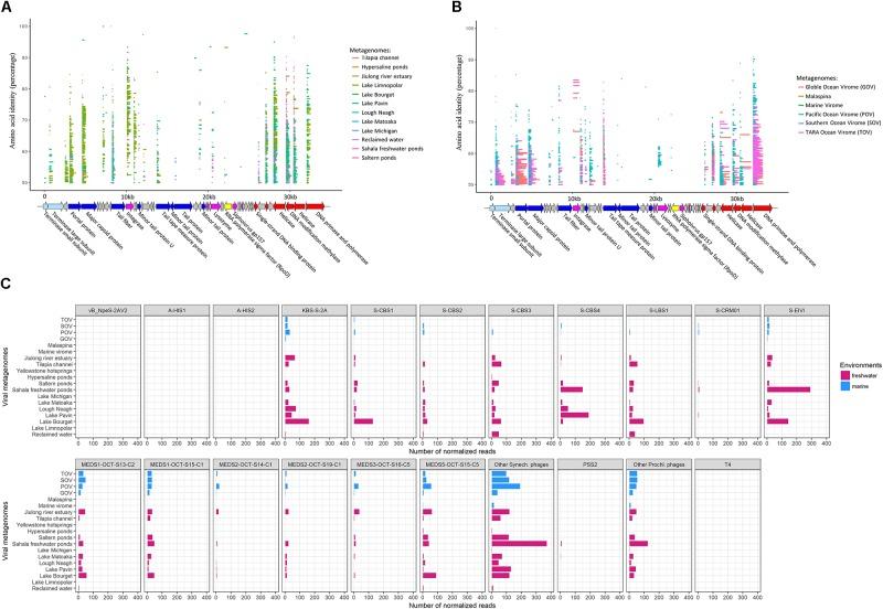 https://cdn.ncbi.nlm.nih.gov/pmc/blobs/db0f/6157547/042fa2f51536/fmicb-09-02204-g005.jpg