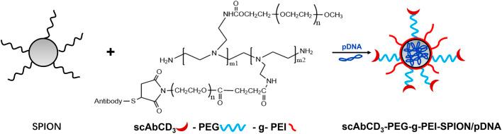 https://cdn.ncbi.nlm.nih.gov/pmc/blobs/db11/10851169/3f83231bf6e4/fbioe-11-1323316-g003.jpg