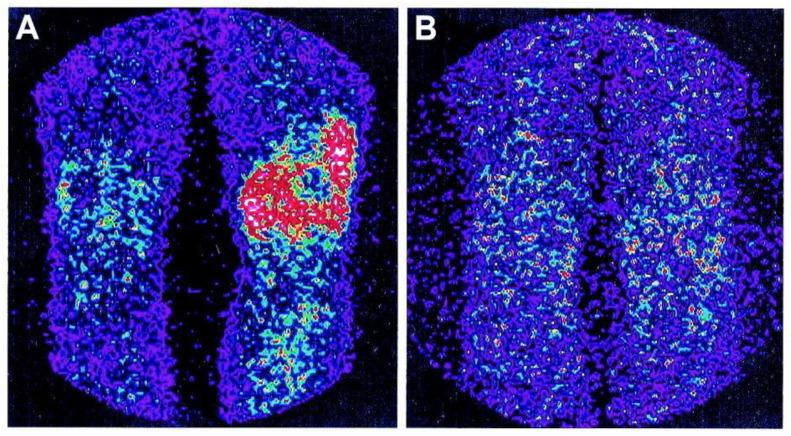 https://cdn.ncbi.nlm.nih.gov/pmc/blobs/db11/11204982/369cf8c74d2e/life-14-00751-g022.jpg