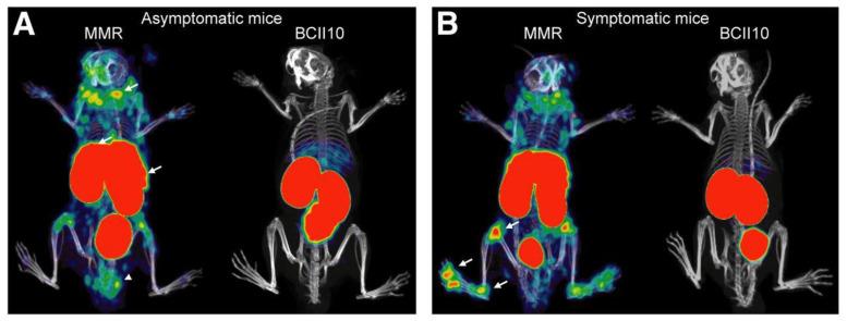 https://cdn.ncbi.nlm.nih.gov/pmc/blobs/db11/11204982/3d58cfd035c9/life-14-00751-g009.jpg