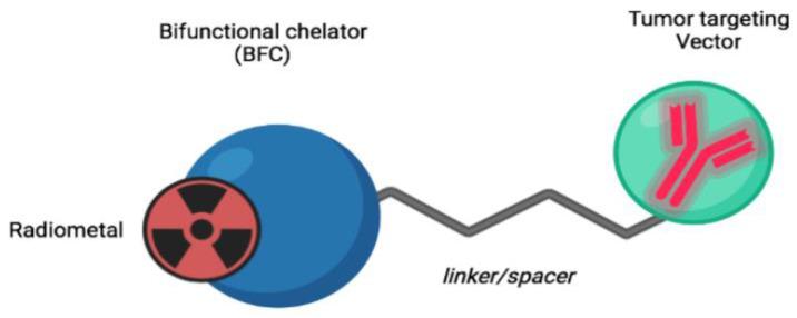 https://cdn.ncbi.nlm.nih.gov/pmc/blobs/db11/11204982/3df2f2c05813/life-14-00751-g003.jpg