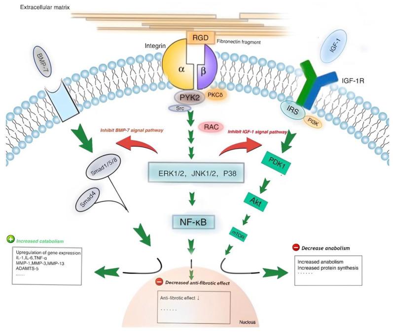 https://cdn.ncbi.nlm.nih.gov/pmc/blobs/db11/11204982/657091e345de/life-14-00751-g011.jpg