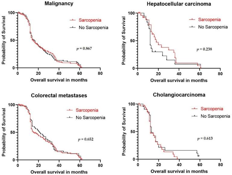 https://cdn.ncbi.nlm.nih.gov/pmc/blobs/db11/8750804/0e242378af83/cancers-14-00261-g003.jpg