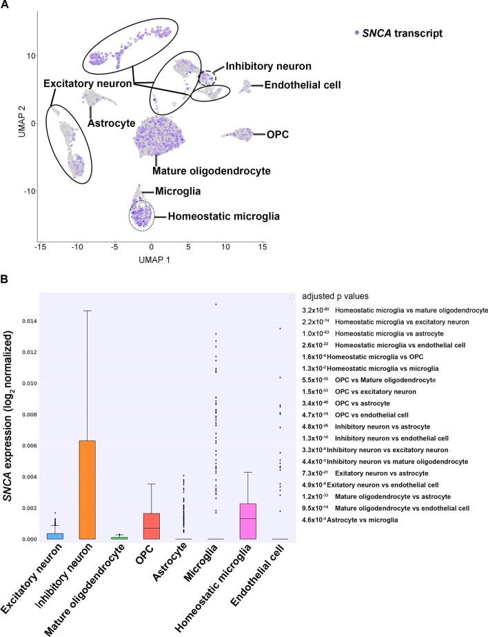 https://cdn.ncbi.nlm.nih.gov/pmc/blobs/db13/10666428/dfc9fbabddf7/40478_2023_1687_Fig5_HTML.jpg