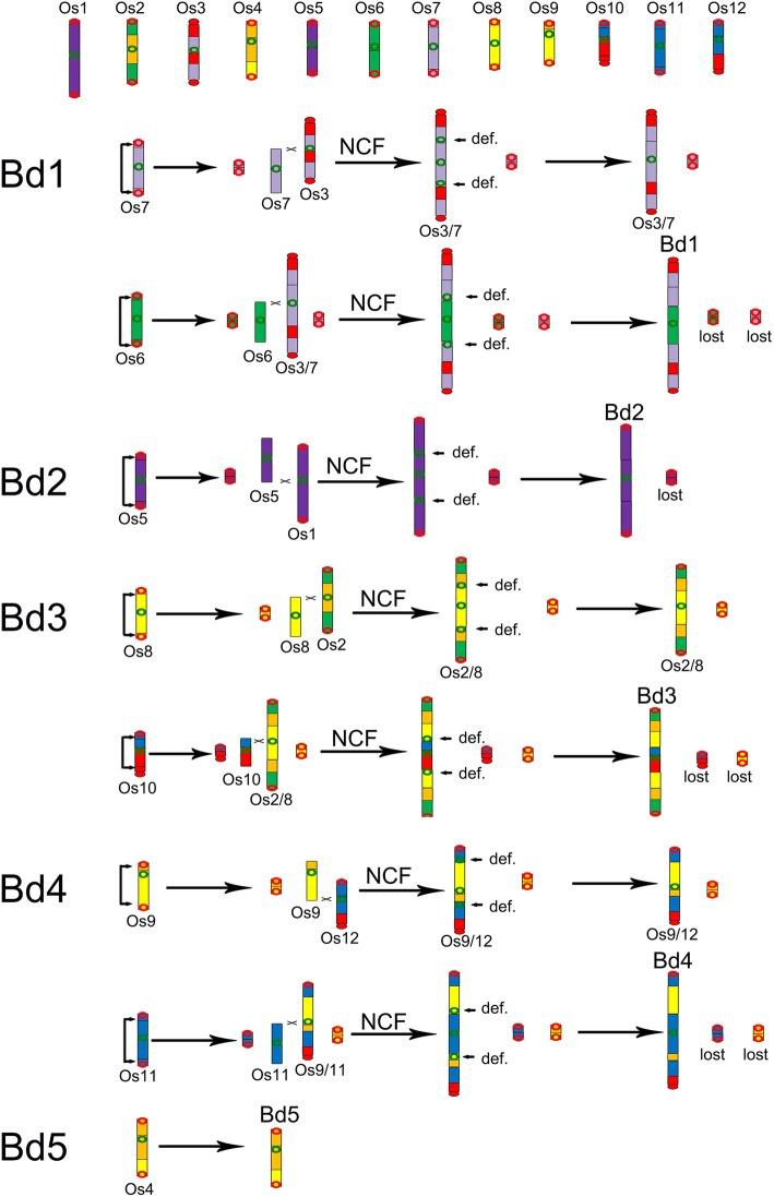 https://cdn.ncbi.nlm.nih.gov/pmc/blobs/db15/6407190/7c77de2edfd5/12864_2019_5566_Fig4_HTML.jpg
