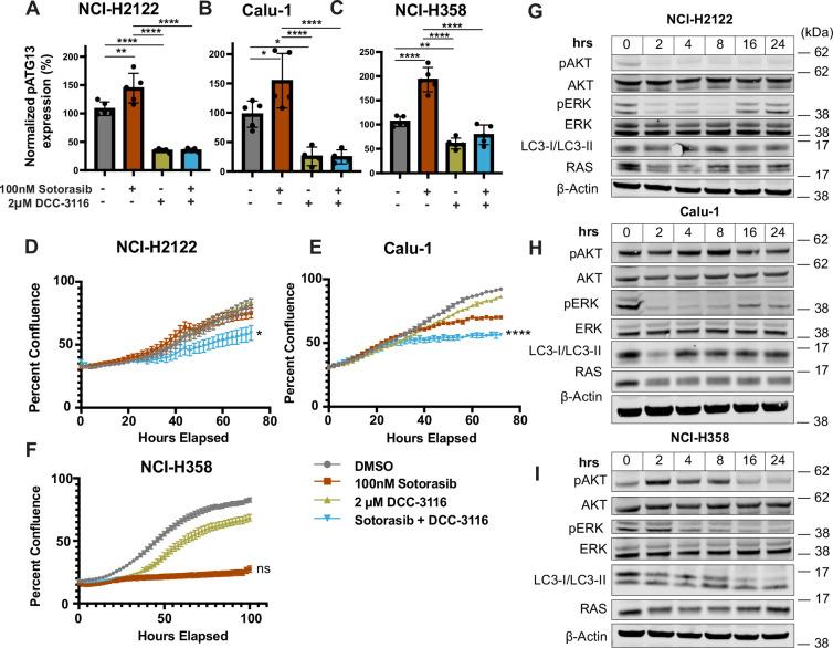 https://cdn.ncbi.nlm.nih.gov/pmc/blobs/db16/11364435/b4d1fedcdca4/elife-96992-fig1-figsupp2.jpg
