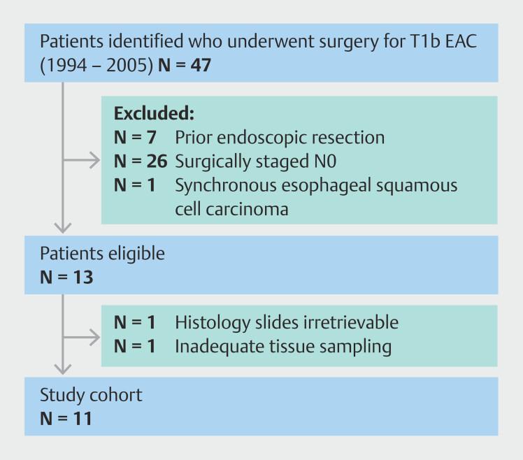 https://cdn.ncbi.nlm.nih.gov/pmc/blobs/db16/11855241/4d35fd181823/10-1055-a-2509-7208_25117597.jpg