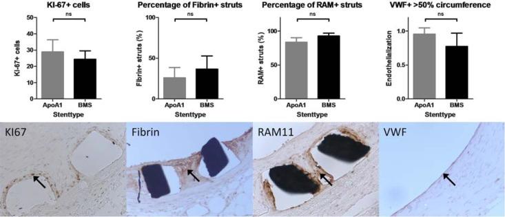 https://cdn.ncbi.nlm.nih.gov/pmc/blobs/db17/4378909/c4b149fa9f1a/pone.0122836.g005.jpg