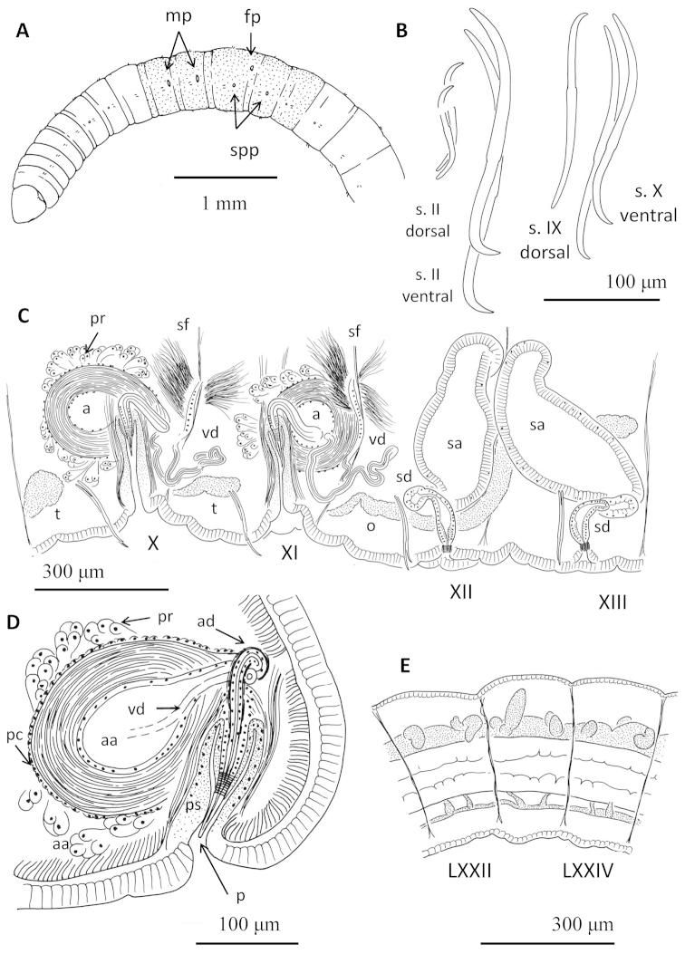 https://cdn.ncbi.nlm.nih.gov/pmc/blobs/db19/4258618/138131d9a6e9/zookeys-451-001-g001.jpg