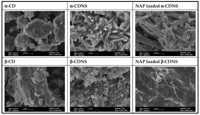 https://cdn.ncbi.nlm.nih.gov/pmc/blobs/db1a/11944358/c087dd9d0644/polymers-17-00709-g009.jpg