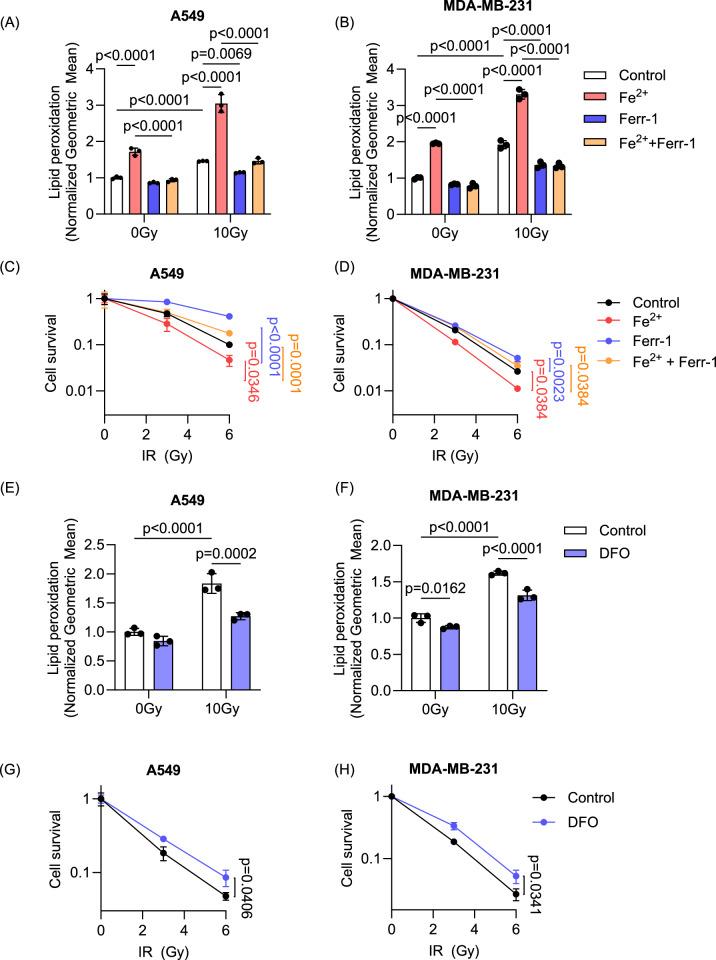 https://cdn.ncbi.nlm.nih.gov/pmc/blobs/db1b/12405469/6376086c4d6a/41419_2025_7988_Fig5_HTML.jpg