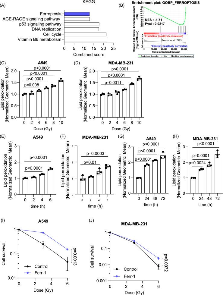 https://cdn.ncbi.nlm.nih.gov/pmc/blobs/db1b/12405469/9541b2fffe73/41419_2025_7988_Fig1_HTML.jpg