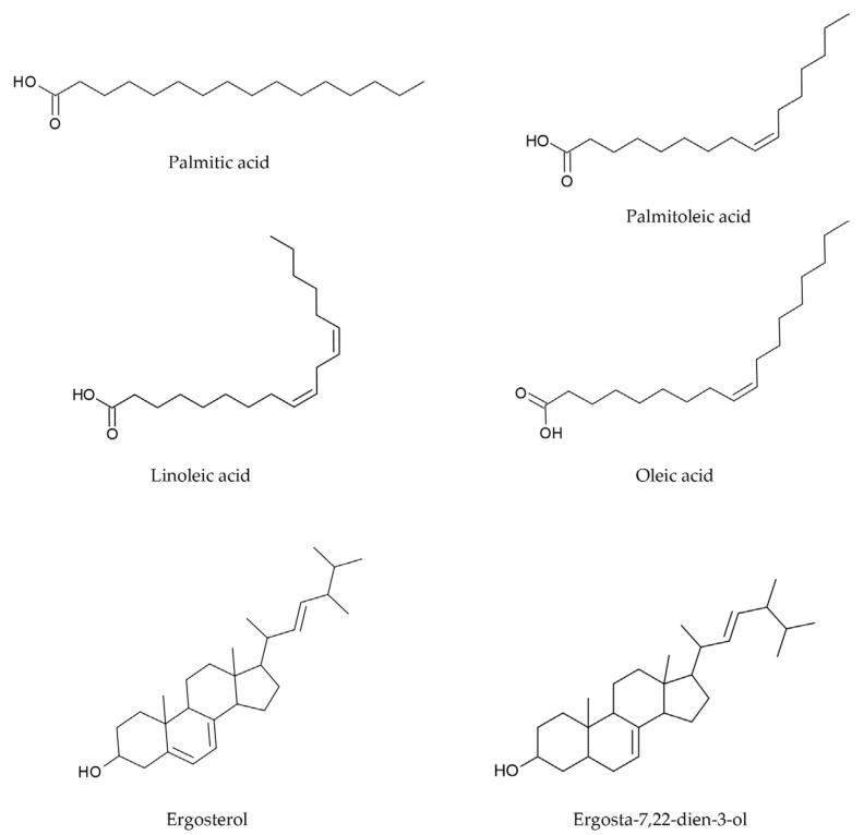 https://cdn.ncbi.nlm.nih.gov/pmc/blobs/db1c/11508548/cf0d54b5dc2b/jof-10-00718-g001.jpg