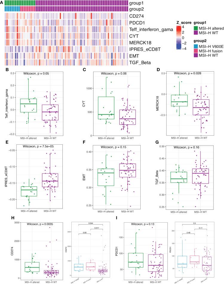 https://cdn.ncbi.nlm.nih.gov/pmc/blobs/db1d/9870311/cbc510968191/fimmu-13-974793-g006.jpg