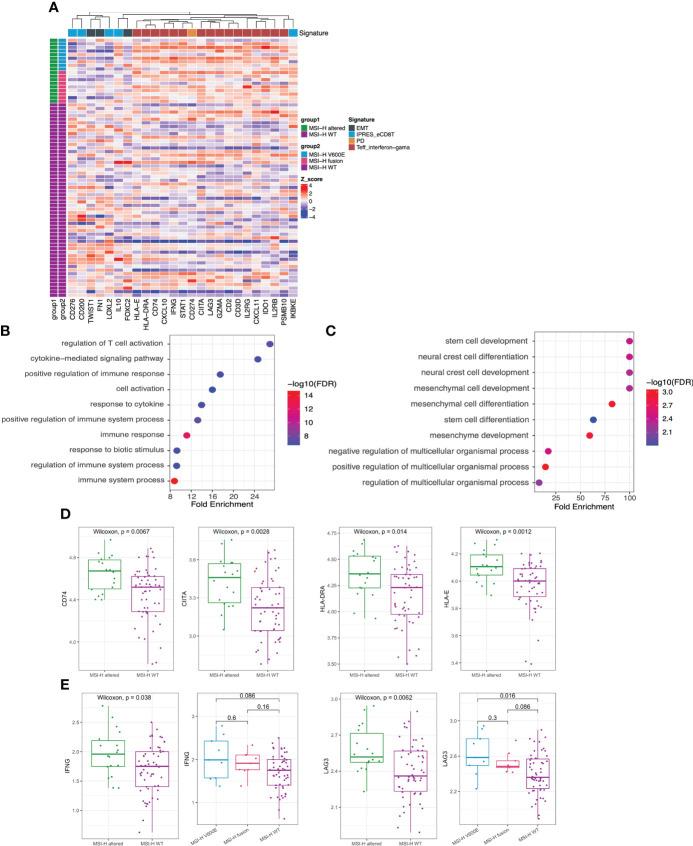 https://cdn.ncbi.nlm.nih.gov/pmc/blobs/db1d/9870311/f4728bd76877/fimmu-13-974793-g005.jpg