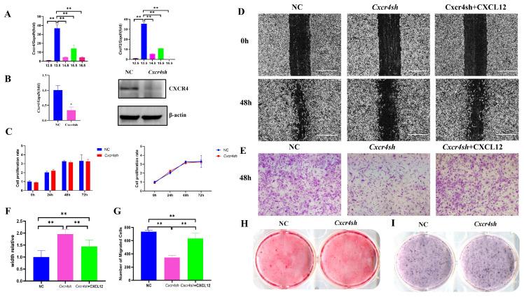 https://cdn.ncbi.nlm.nih.gov/pmc/blobs/db1f/10454820/5e99753eff66/ijms-24-12740-g001.jpg