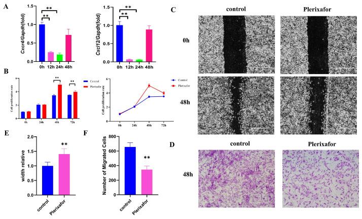 https://cdn.ncbi.nlm.nih.gov/pmc/blobs/db1f/10454820/c88308e3c605/ijms-24-12740-g002.jpg
