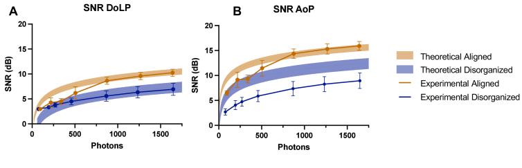 https://cdn.ncbi.nlm.nih.gov/pmc/blobs/db1f/11161357/80a75157594d/boe-15-5-2798-g005.jpg