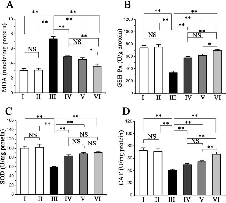 https://cdn.ncbi.nlm.nih.gov/pmc/blobs/db20/6332456/01f2599af649/molecules-20-12250-g002.jpg