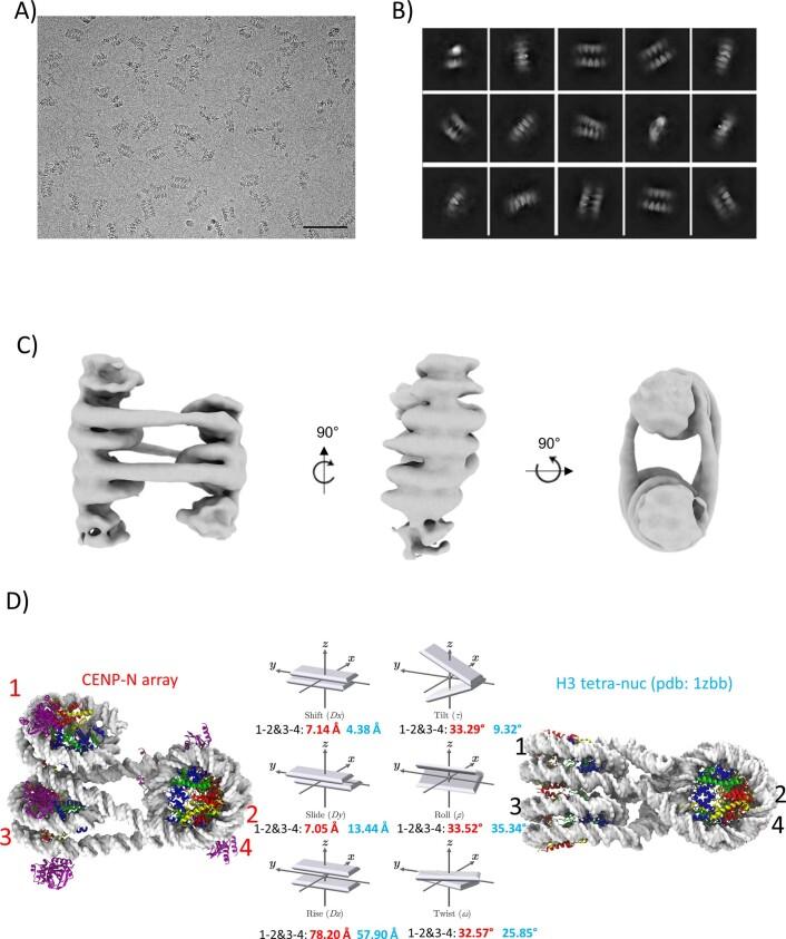 https://cdn.ncbi.nlm.nih.gov/pmc/blobs/db20/9010303/094261c2f526/41594_2022_758_Fig12_ESM.jpg