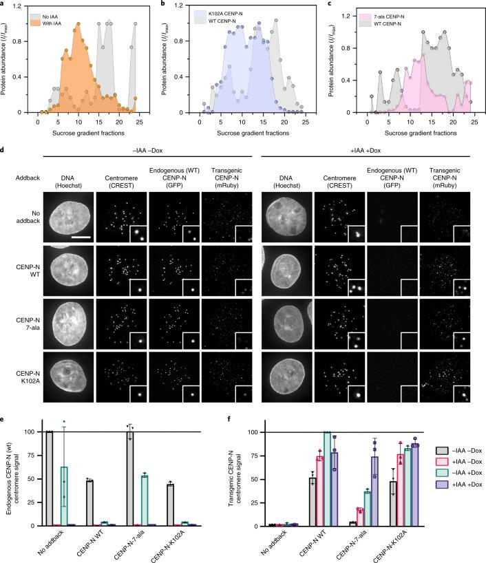 https://cdn.ncbi.nlm.nih.gov/pmc/blobs/db20/9010303/416f699e6669/41594_2022_758_Fig4_HTML.jpg