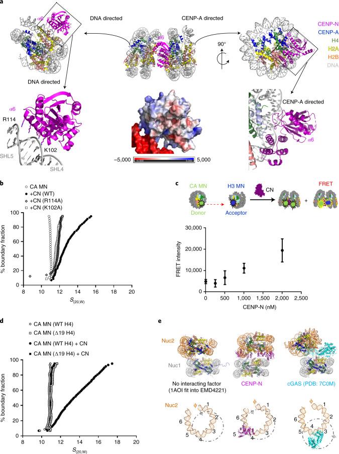 https://cdn.ncbi.nlm.nih.gov/pmc/blobs/db20/9010303/f055b6f5ee23/41594_2022_758_Fig2_HTML.jpg