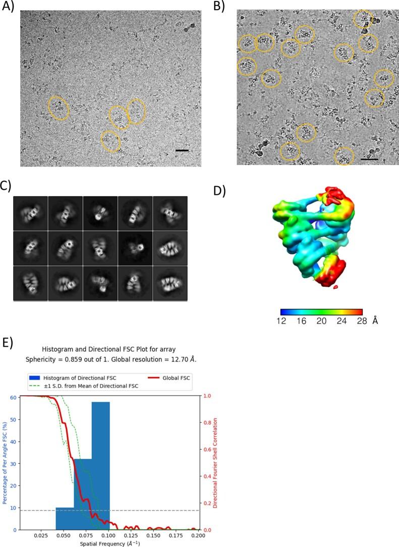 https://cdn.ncbi.nlm.nih.gov/pmc/blobs/db20/9010303/fa8b118b7c2c/41594_2022_758_Fig11_ESM.jpg