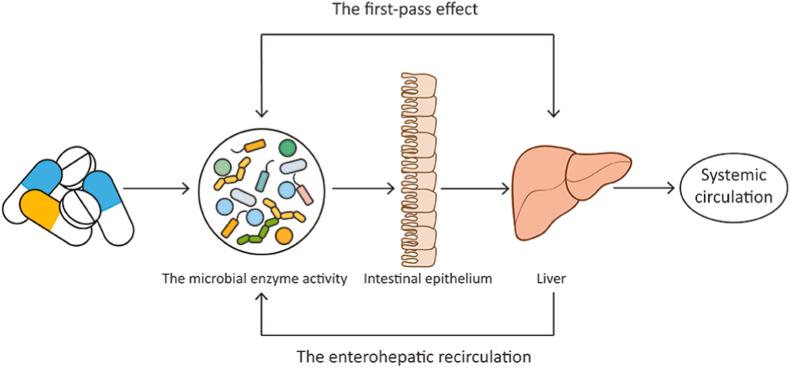 https://cdn.ncbi.nlm.nih.gov/pmc/blobs/db21/8343123/4525bde016d7/gr1.jpg