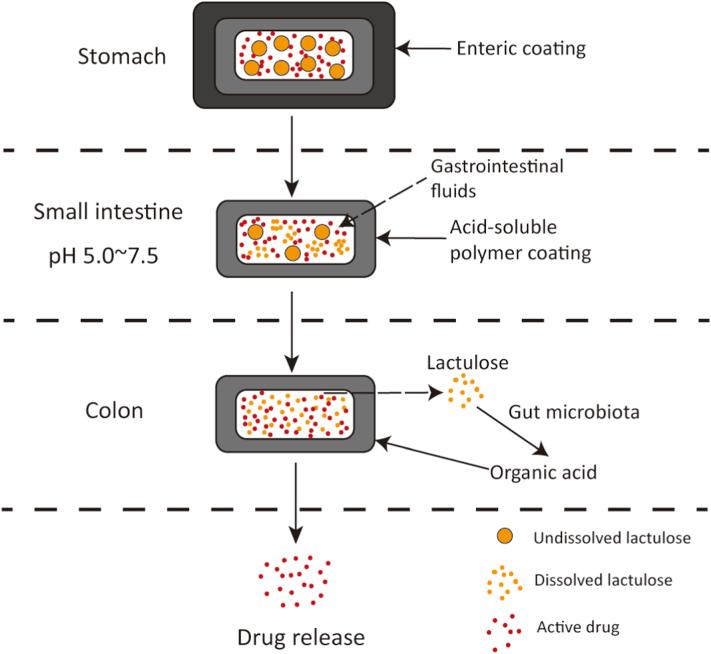 https://cdn.ncbi.nlm.nih.gov/pmc/blobs/db21/8343123/53718b41855f/gr6.jpg