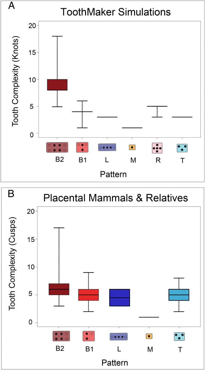 https://cdn.ncbi.nlm.nih.gov/pmc/blobs/db24/8202019/e3e4b7b436c0/pnas.2019294118fig03.jpg