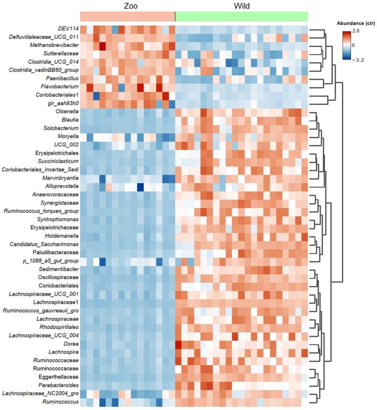 https://cdn.ncbi.nlm.nih.gov/pmc/blobs/db2c/10582353/89dc4e04c9f3/fmicb-14-1247719-g004.jpg