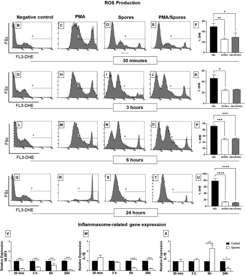 https://cdn.ncbi.nlm.nih.gov/pmc/blobs/db2d/9325901/b57e4233ea35/gr6.jpg