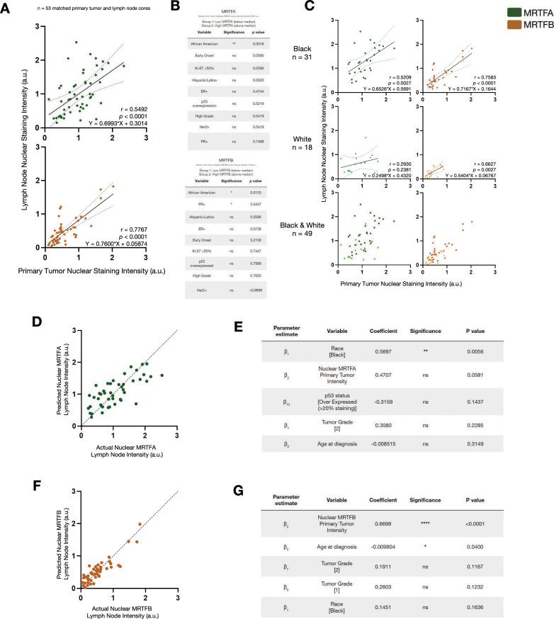 https://cdn.ncbi.nlm.nih.gov/pmc/blobs/db2f/12125903/05480b763f65/12967_2025_6559_Fig3_HTML.jpg