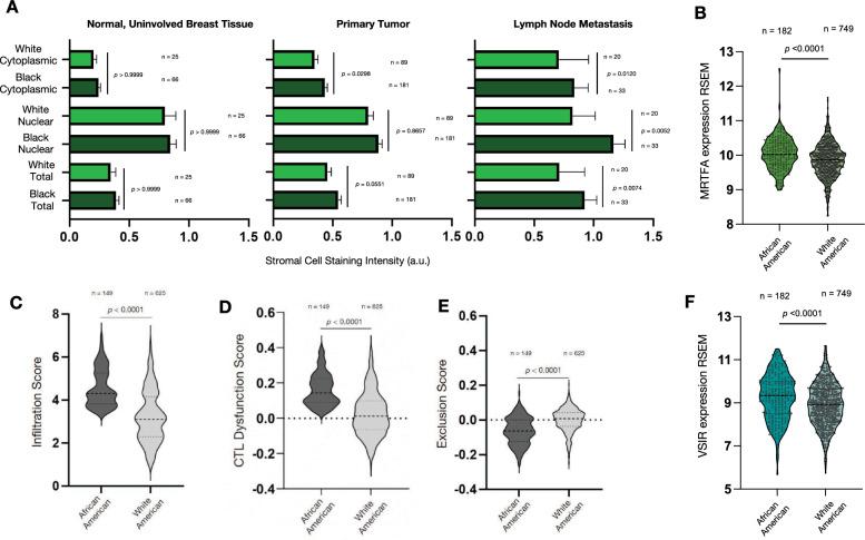https://cdn.ncbi.nlm.nih.gov/pmc/blobs/db2f/12125903/47b885b68ccd/12967_2025_6559_Fig7_HTML.jpg