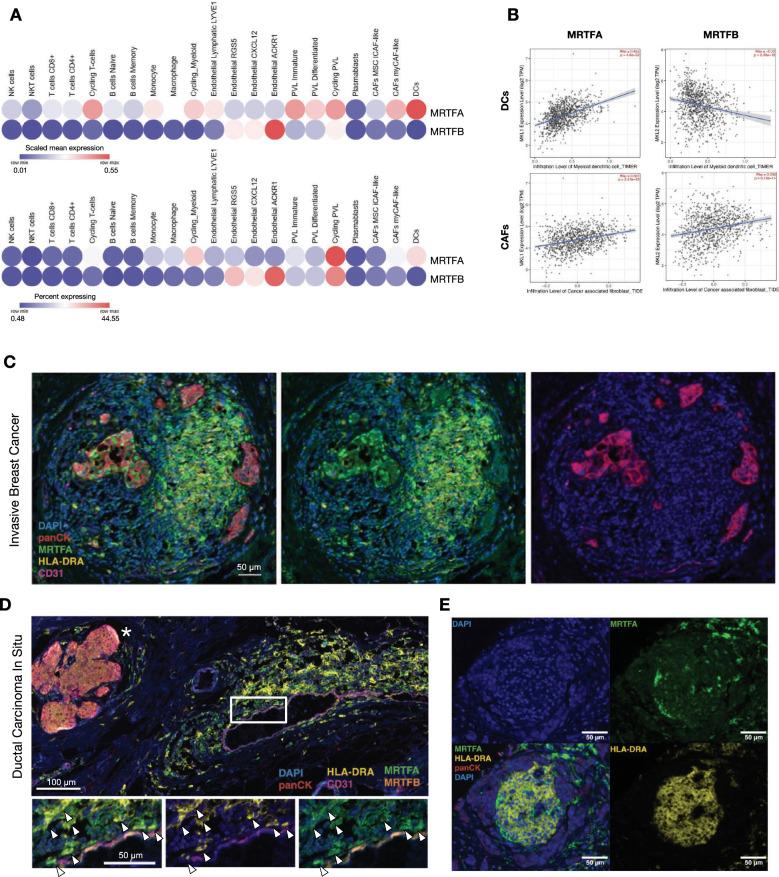 https://cdn.ncbi.nlm.nih.gov/pmc/blobs/db2f/12125903/c169afb3af78/12967_2025_6559_Fig5_HTML.jpg