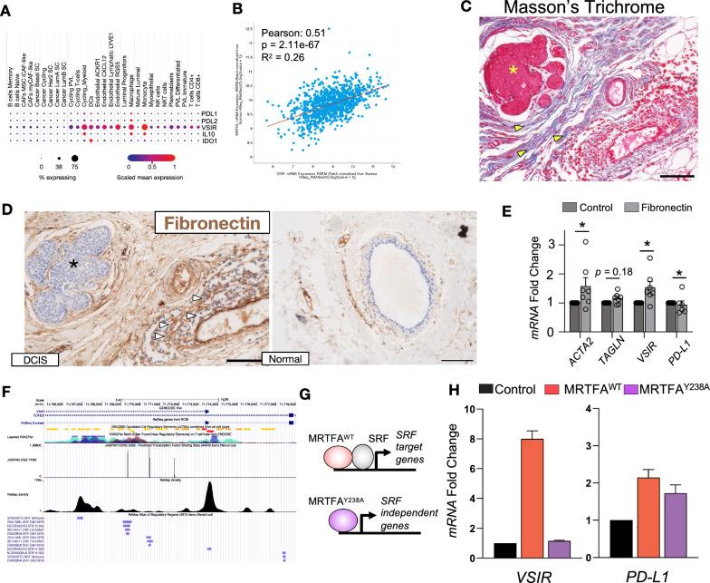 https://cdn.ncbi.nlm.nih.gov/pmc/blobs/db2f/12125903/cfbba1b60055/12967_2025_6559_Fig6_HTML.jpg