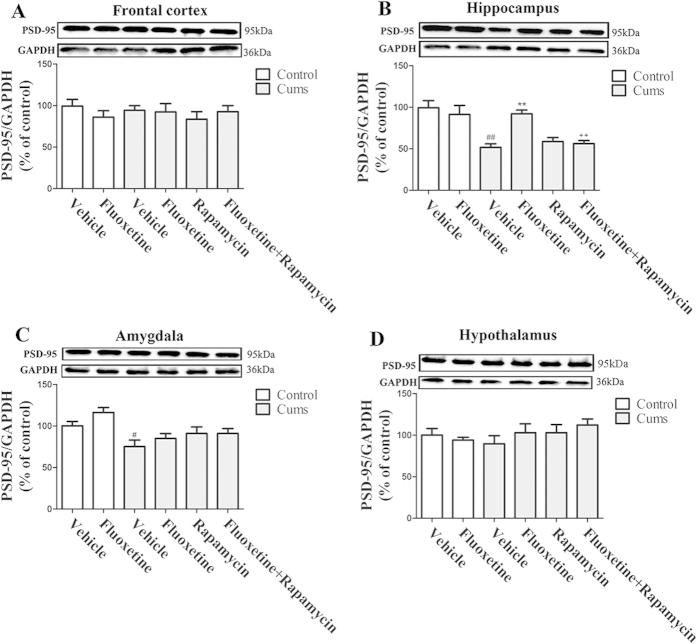 https://cdn.ncbi.nlm.nih.gov/pmc/blobs/db2f/4629199/6cfc8c205dd4/srep16024-f6.jpg