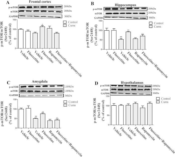https://cdn.ncbi.nlm.nih.gov/pmc/blobs/db2f/4629199/ec09f5ba56d9/srep16024-f3.jpg