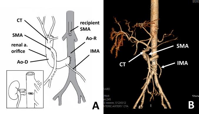 https://cdn.ncbi.nlm.nih.gov/pmc/blobs/db31/11889015/5b2f37ab5e55/10151_2025_3115_Fig2_HTML.jpg