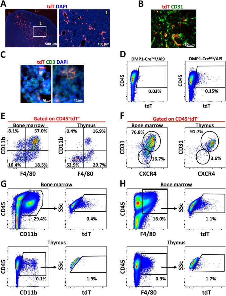 https://cdn.ncbi.nlm.nih.gov/pmc/blobs/db33/10725438/4807c19ea234/41598_2023_49713_Fig2_HTML.jpg