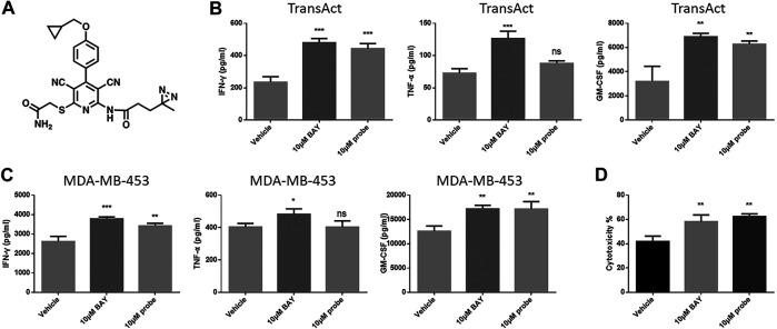 https://cdn.ncbi.nlm.nih.gov/pmc/blobs/db33/7994267/c26d04371679/fphar-12-619800-g007.jpg