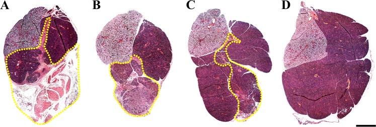 https://cdn.ncbi.nlm.nih.gov/pmc/blobs/db34/6609686/df674d2e49de/41536_2019_78_Fig6_HTML.jpg