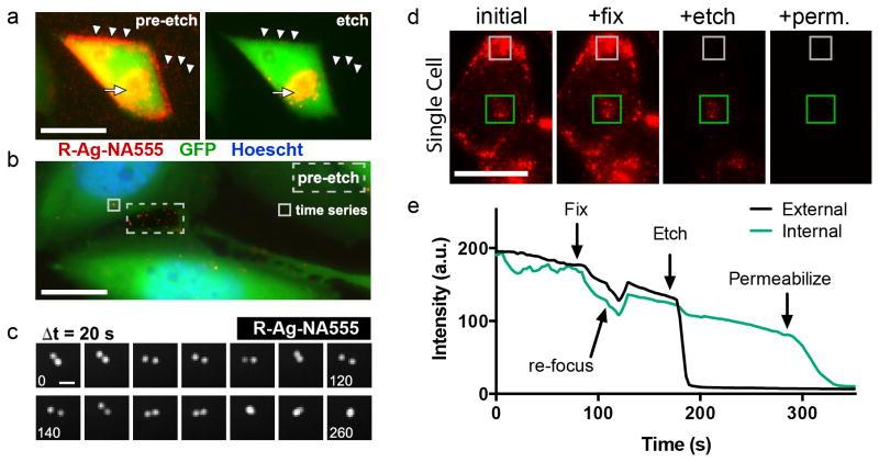 https://cdn.ncbi.nlm.nih.gov/pmc/blobs/db35/4141013/9359e50f844a/nihms586219f4.jpg
