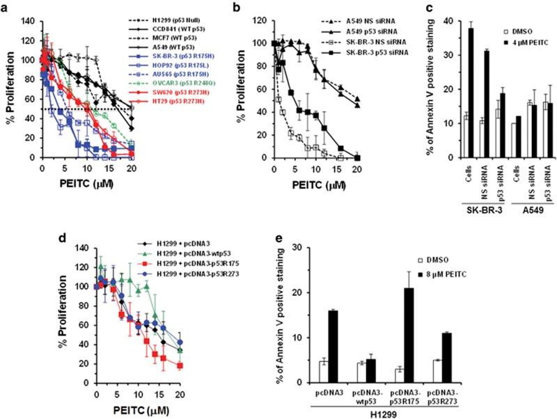 https://cdn.ncbi.nlm.nih.gov/pmc/blobs/db35/5041190/aefd3c34b5d3/cdd201648f1.jpg